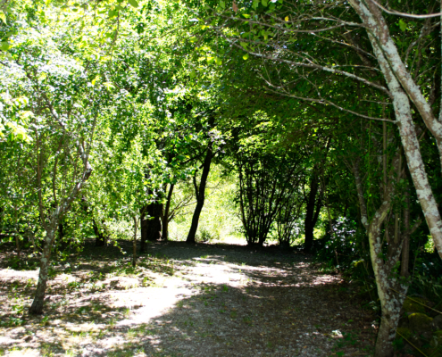 DSC_0041
